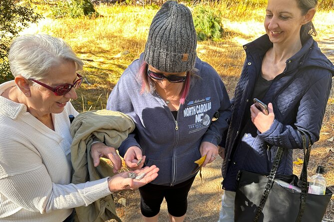 The Evolution of Yosemite Naturalist Walking Tour - Engaging Activities for Families