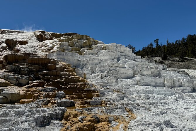 The Grand Yellowstone 3 Day Private Experience From Cody Wyoming - Planning Your Adventure
