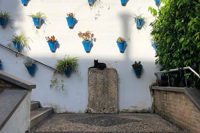 The Mosque Cathedral and Jewish Quarter Guided Tour in Cordoba - Historical Insights From the Guide