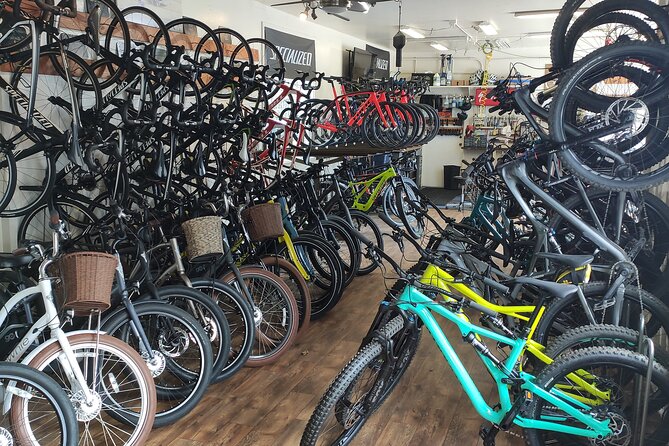 The Original Group Electric Bike Tour of Santa Barbara - Enjoying Scenic Stops and Photo Opportunities