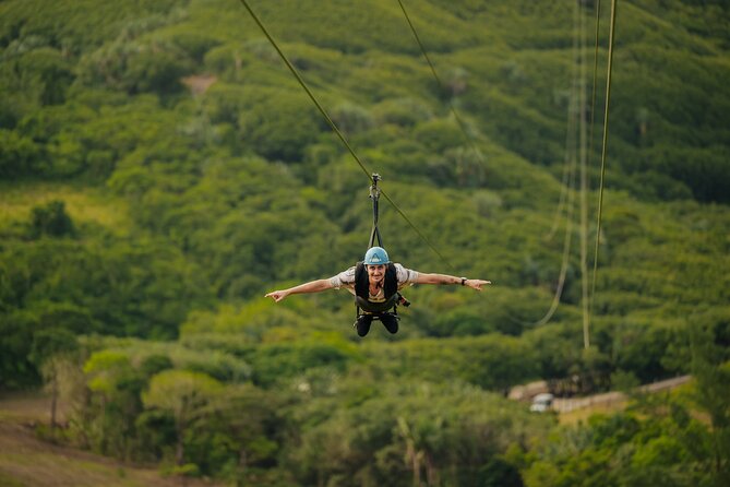 The Signature Zipline (1 Line-1.5km) - La Vallée Des Couleurs - Booking Details and Pricing