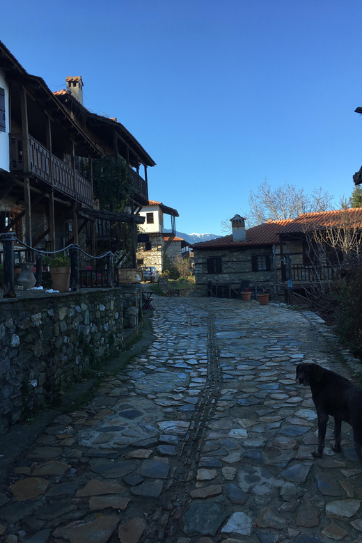 Thessaloniki Old Panteleimonas, Litochoro, Enipea Canyon - Private Excursion Details