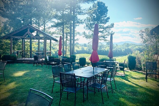 Three Vineyards Half Day Private Wine Tour From Asheville - Visit Overmountain Vineyard
