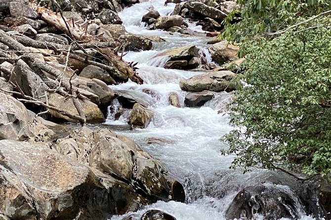 Thundering Streams and Falls of the Smokies Guided Hiking Tour - Pricing and Cancellation Policy