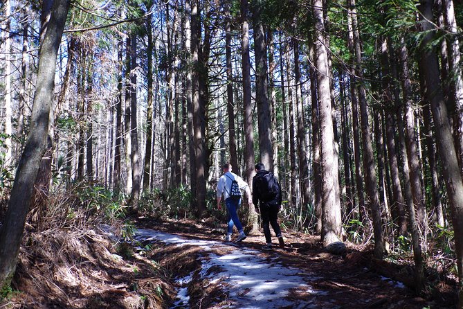 Togakushi Shrine Hiking Trails Tour With Soba in Nagano - Scenic Views and Trails