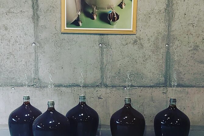 Tokaj Wine Tour - Wine Tasting Experience