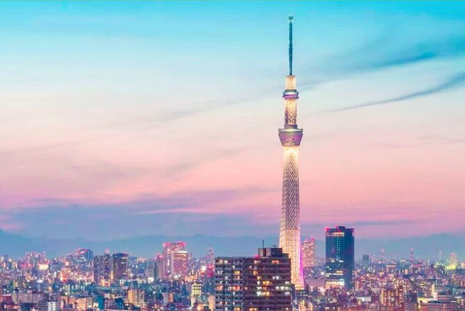 Tokyo City Tour by Private Car & English Guide - Tour Highlights: Tsukiji Market and Meiji Shrine