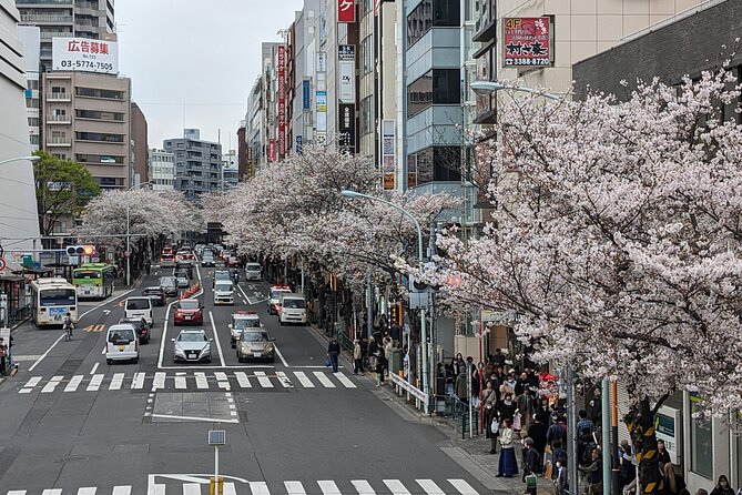 Tokyo Experience Food & Cycling Local Life Tour - Rental E-Bike Experience