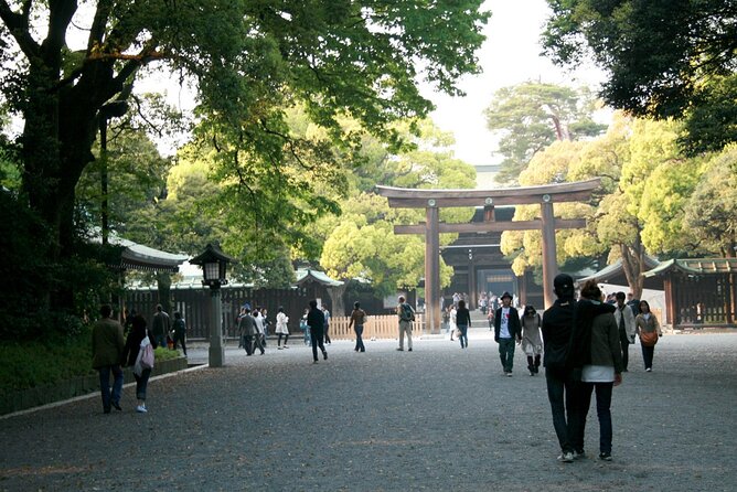 Tokyo Full Day Trip With Private Guide and Luxury Car - Customizable Itinerary