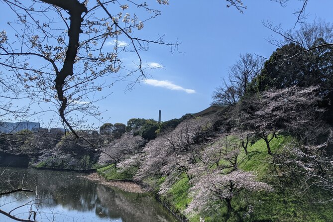 Tokyo Imperial Palace Higashi Gyoen Wellness Tour - Frequently Asked Questions