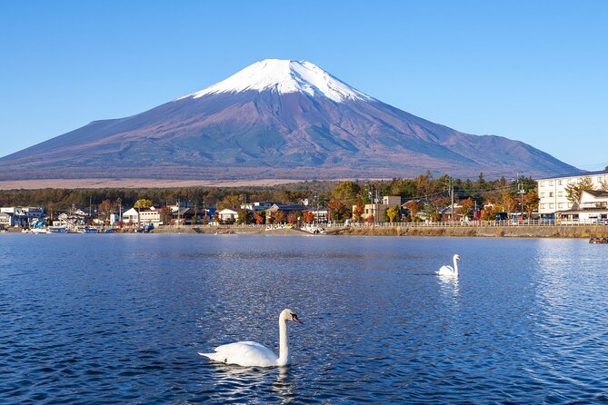 Tokyo Mt. Fuji, Kawaguchiko Fireworks Small Group - Accessibility and Health Considerations