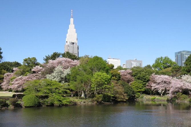 Tokyo Self-Guided Audio Tour - Reviews and Feedback