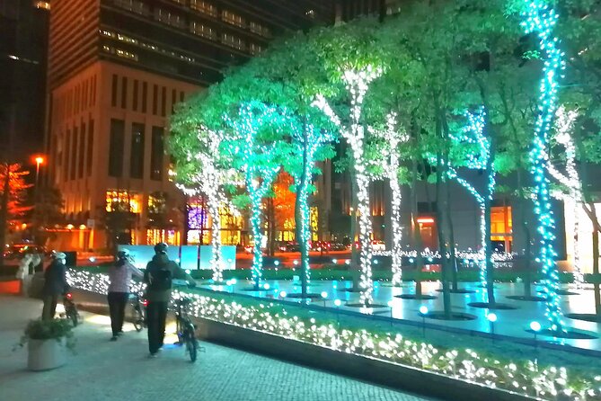 Tokyo Winter Illumination Ebike Tour - Experiencing the E-Bike Adventure