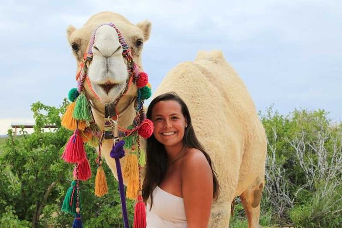 Tour 2x1: Arch + Camels + Mexican Lunch + Pick Up! - Pricing Details and Policies