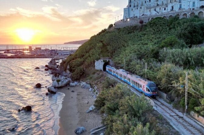 Tour of Gargano With the Train From Foggia to Rodi Garganico - Participation Requirements