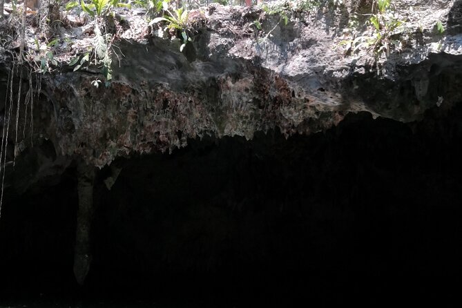 Tours On The Island Cozumel - Meeting and Pickup Options