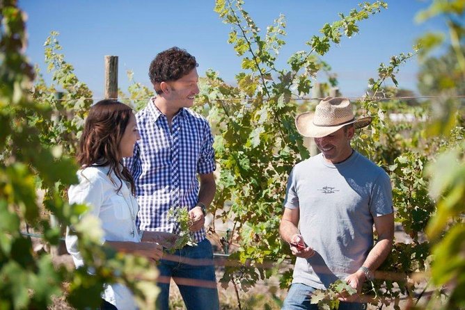 Traditional Cheese and Wine Route in Spanish, Departing From Querétaro - Booking Process