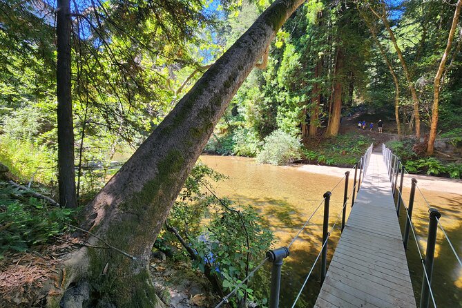 Train Ride Adventure Through Mother Natures Giant Redwoods Park - Participant Recommendations