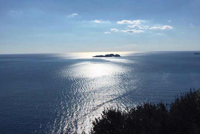 Transfer From Civitavecchia to Positano - Pricing Details