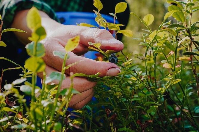 Trekking in the Heart of Nature - Preparing for Your Trek
