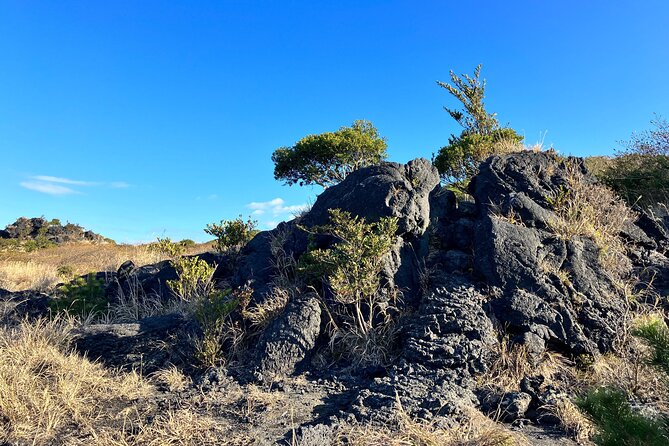 Trekking Volcanic Island in Izu Oshima - Lunch Break and Refreshments