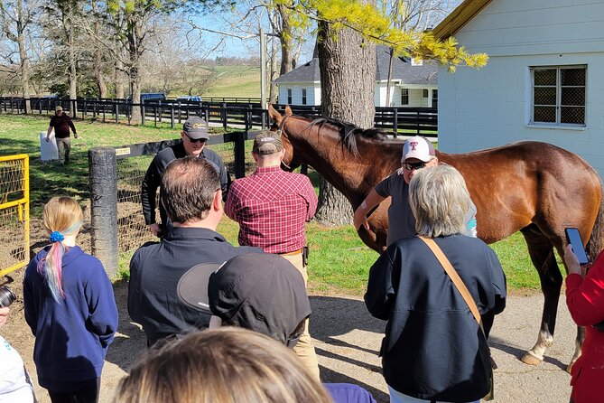 Triple Crown Experience - Customer Reviews and Ratings