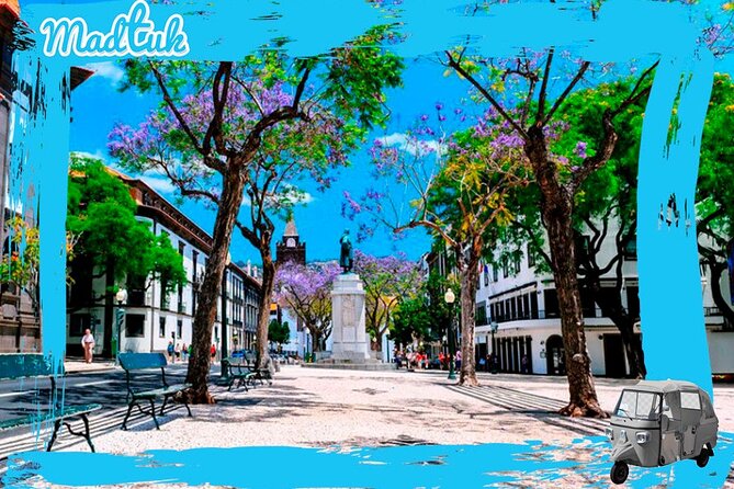 Tuk-Tuk Private Tour to Botanical Garden + Old Town Area - Pricing Information