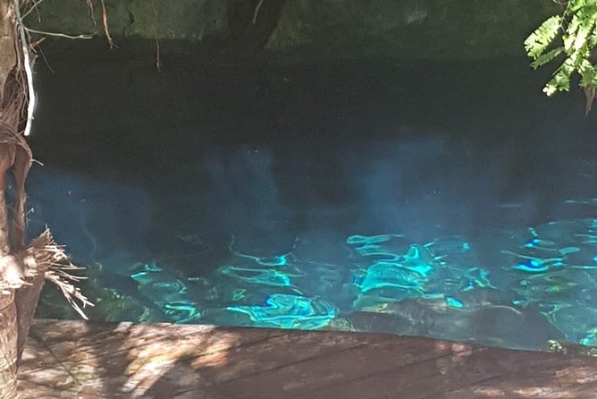 Tulaka Cenote Experience - Booking Process and Pricing