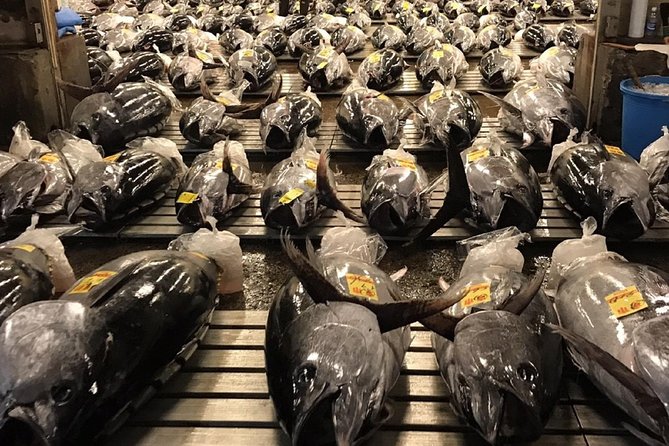 Tuna Auction and Market Tour at Activity Maison Kissako - Exclusive Access to Tuna Auction