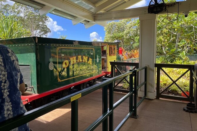 Turtle Snorkeling and Dole Plantation Tour Review - Dole Plantation Visit