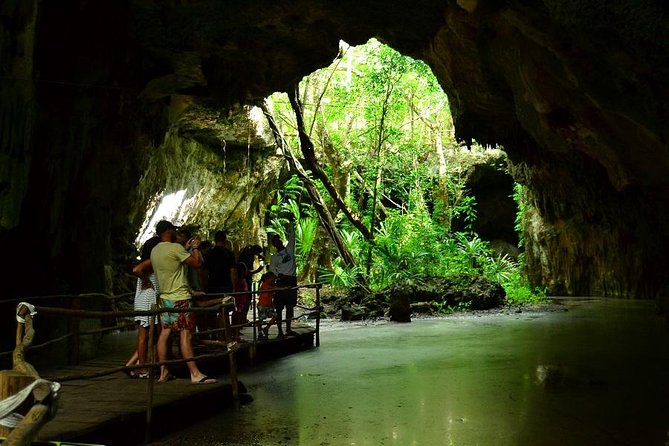 Turtles and Cenote From Riviera Maya - Health and Safety Considerations
