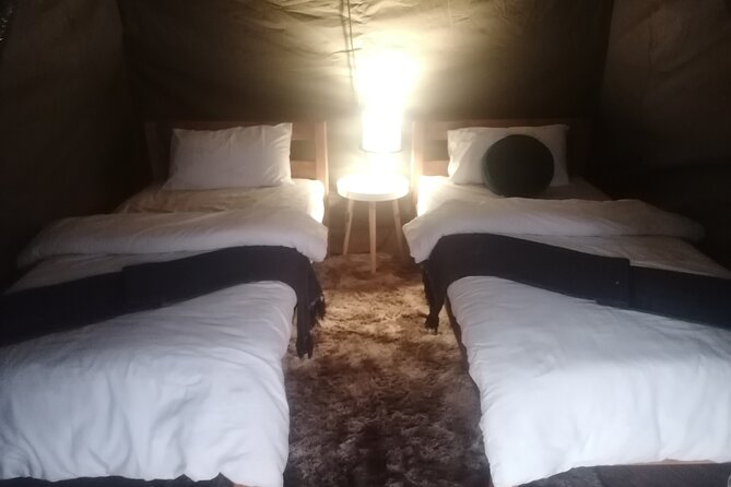 Two Day Kruger National Park Safari From Johannesburg - Important Considerations