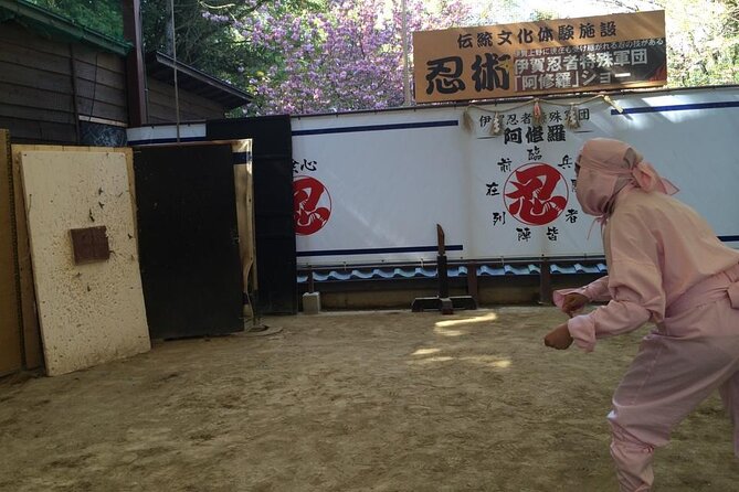 Unique Ninja One Day Experience in Iga - Exploring the Ninja Museum: A Captivating Journey