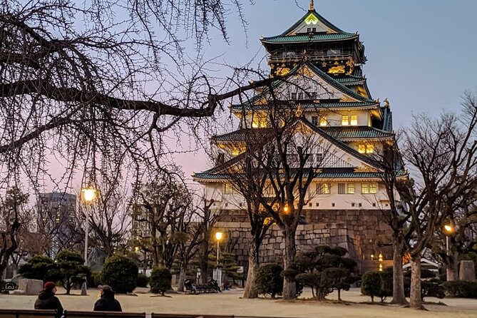 Unveiling Osaka Dotonbori and Namba A Private Half Day Lunch Tour - Additional Tour Information