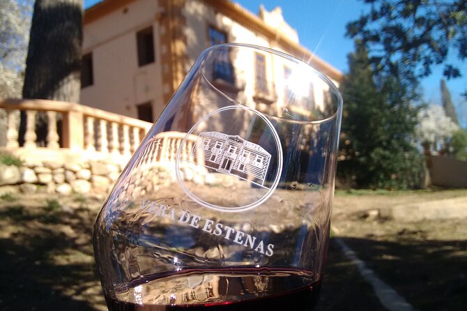 Utiel-Requena Excursion: Uncover the Flavors of Valencias Wine - Customer Reviews and Feedback