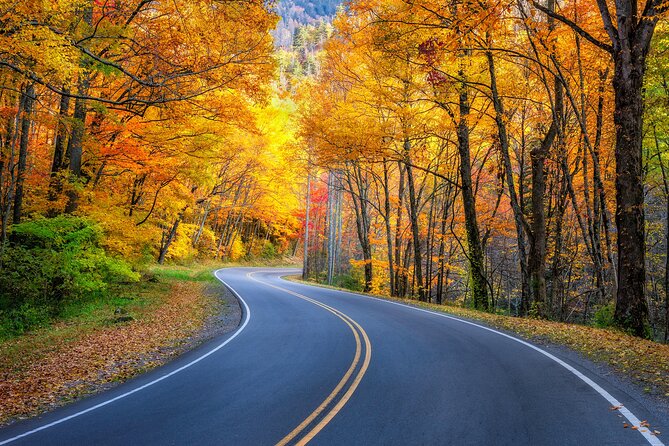 Vermont RT 100 Self Guided Driving Audio Tour - Pricing Structure and Special Offers