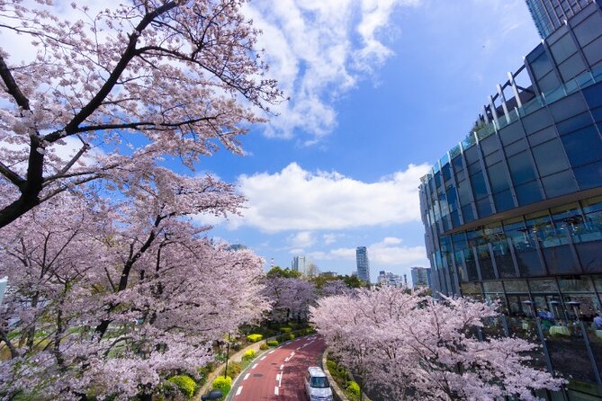 VIP Cherry Blossom Tour by Limousine With Exclusive Dinner - Capturing Unforgettable Memories