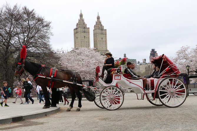 VIP Horse Carriage Ride Through Central Park (Up to 4 Adults) - Booking and Reservations