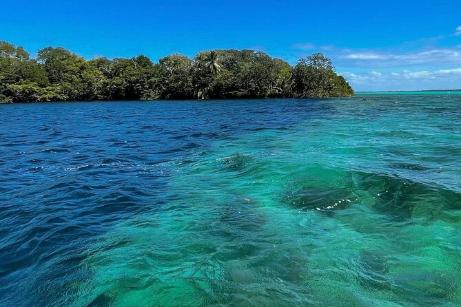 Visit Bacalar Full Day From Merida - Health and Safety Considerations