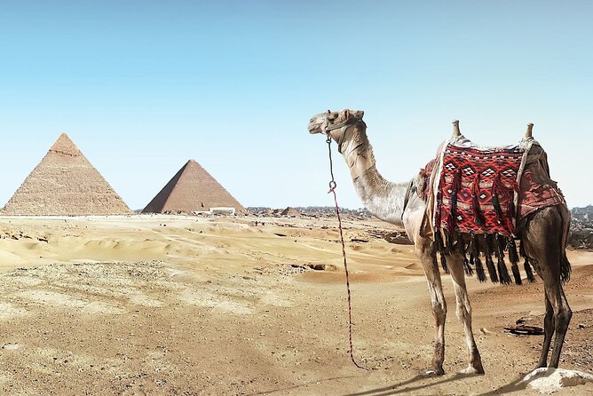 Visit Cairo Over Day, Pyramids, Egyptian Museum, and Lunch - Sharm El Sheikh - Guest Reviews