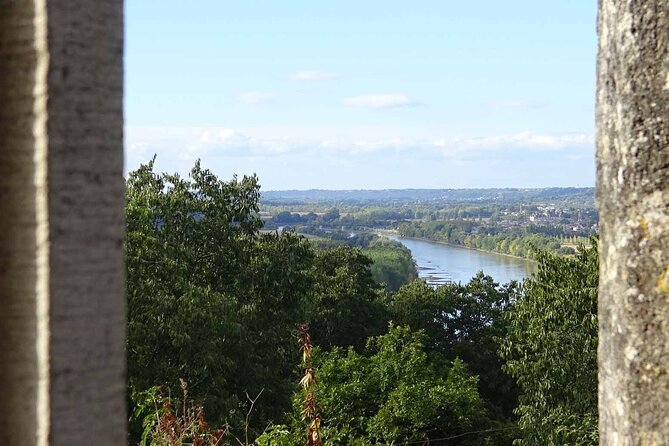 Visit of the Château Du Cros and Introduction to Tasting - Tips for Your Visit