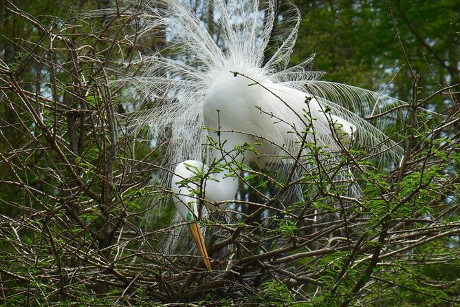 Waccamaw River Nature and Wildlife Tour - Tour Policies and Flexibility