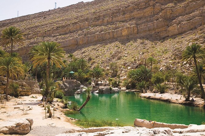 Wahiba Sands and Sur Full Day Private Tour From Muscat - Traveler Experience