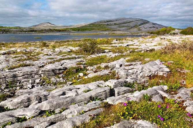 Walk in Burren National Park Clare. Guided. 4 Hours. - Inclusions and Exclusions