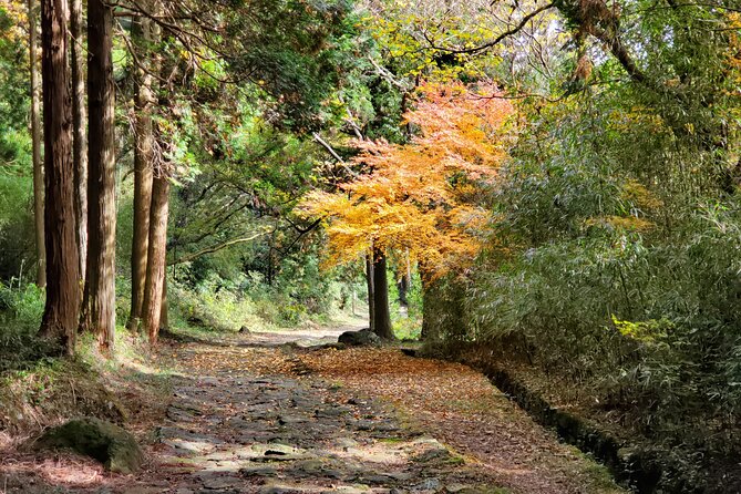 Walking Through the Aso Caldera, Historical Walk Along the Bungo Kaido - Tips for Preparing and Packing
