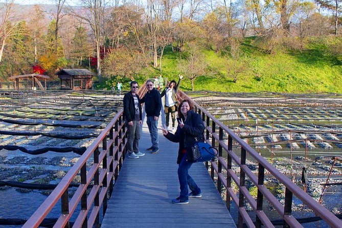 Wasabi Farm Walking Tour & Lunch - Discovering the Farms Distinctive Features