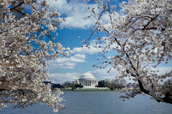 Washington DC Private Tour With Luxury SUV - Explore Washington DCs Iconic Landmarks