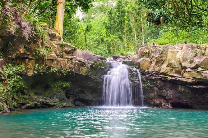 Waterfall & Rainforest Hiking Adventure With Hotel Pickup - Transportation and Meeting Details
