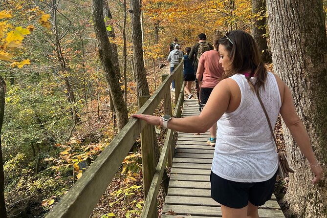 Waterfall Wonders Hiking Tour - Traveler Experiences and Highlights