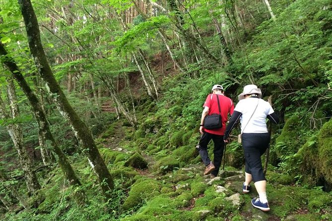 WE LOVE SHINRIN-YOKU Tour (1-Day) - Health and Accessibility Information